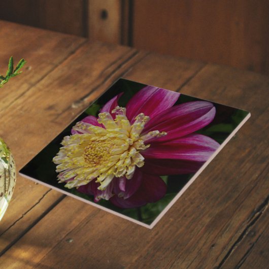 Carreau Dahlia Anémone Rose Floral