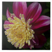 Carreau Dahlia Anémone Rose Floral (Devant)