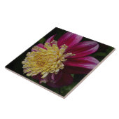 Carreau Dahlia Anémone Rose Floral (Côté)