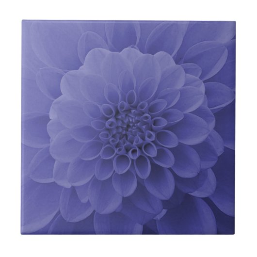 Carreau Dahlia bleu (Devant)