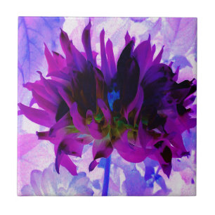 Carreau Dahlia Cactus Violet et Noir Époustouflant