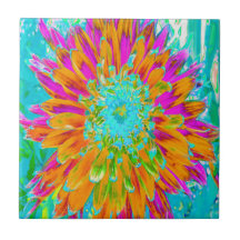 Dahlia décorative tropicale orange et rose chaud