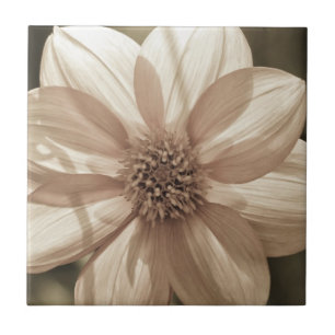 Carreau Dahlia ensoleillé