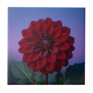 Carreau Dahlia Fleur Rouge Bourgogne Élégant