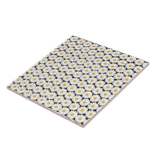 Carreau Daisers (Côté)