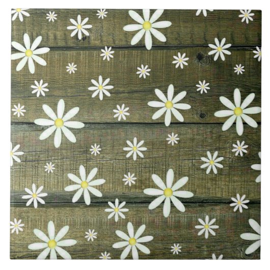 Carreau Daisis Rustique Barne Planche Daisy Flower (Devant)