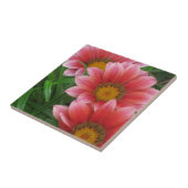 Carreau Daisy africain (Côté)