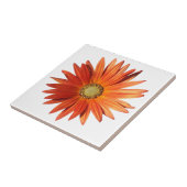 Carreau Daisy africain (Côté)