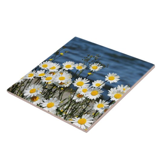 Carreau Daisy-Daisy (Côté)