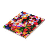 Carreau Daisy Daze (Côté)