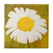 Carreau daisy et l'été solitaire (Devant)