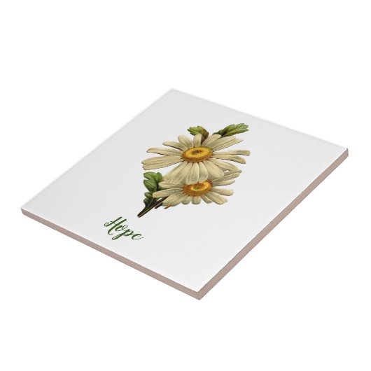 Carreau Daisy Hope Inspiration (Côté)