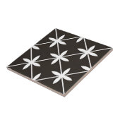 Carreau dalles d'art du ventilateur en étoile noire (Côté)