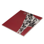 Carreau Dalmate 6 (Côté)