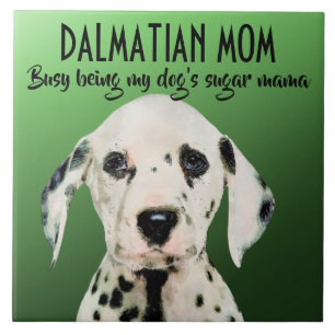Carreau Dalmatie Maman Carrelage céramique