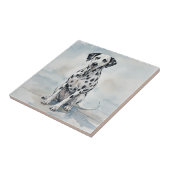 Carreau Dalmatien (Côté)