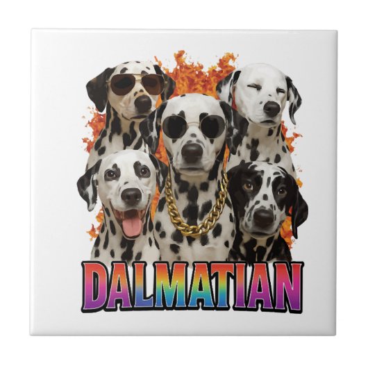 Carreau Dalmatien (Devant)