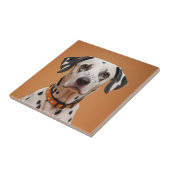 Carreau Dalmatien (Côté)