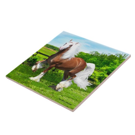 Carreau "Dalton" (Côté)