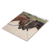 carreau d'amour de cheval (Côté)