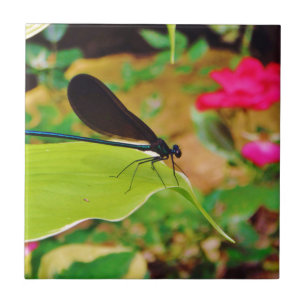 Carreau Damselfly et Rose