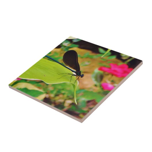 Carreau Damselfly et Rose (Côté)