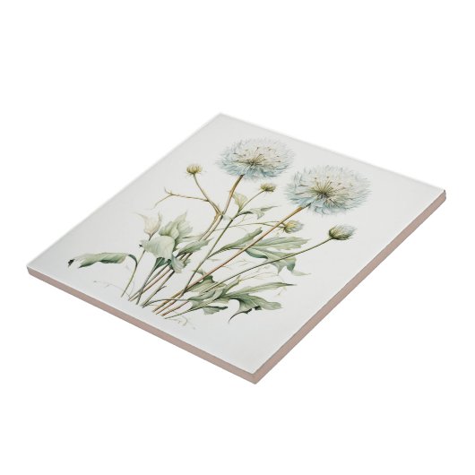 Carreau Dandelion (Côté)