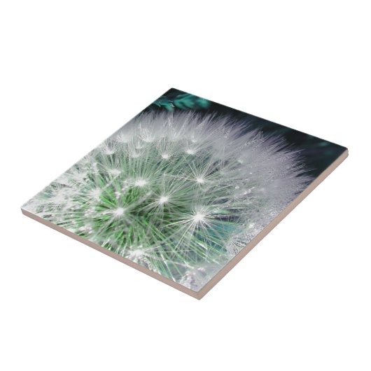 Carreau Dandelion cool vert et blanc avec gouttes d'eau (Côté)