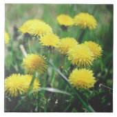 Carreau Dandelion Fleurs Dandelions Jaune Vert (Devant)
