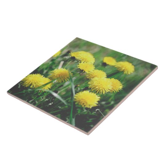 Carreau Dandelion Fleurs Dandelions Jaune Vert (Côté)