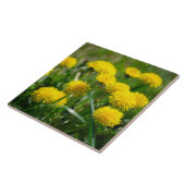 Carreau Dandelion Fleurs Dandelions Jaune Vert (Côté)