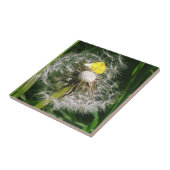 Carreau Dandelion mignon (Côté)