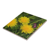 Carreau Dandelions (Côté)