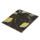 Carreau Dans la cave à vin souterraine : bouteilles couché (Côté)