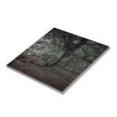 Carreau Dans la forêt de conte de fées     (Côté)