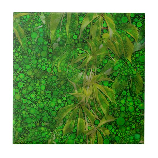 Carreau Dans la jungle (Devant)