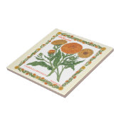 Carreau Dans la tuile de Calendula de ~ de jardin (Côté)