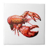 CARREAU DANS LES GRIFFES (Devant)