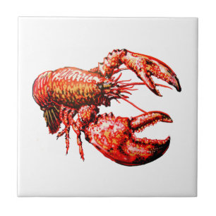 CARREAU DANS LES GRIFFES