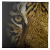 Carreau Dans l'œil d'un tigre (Devant)