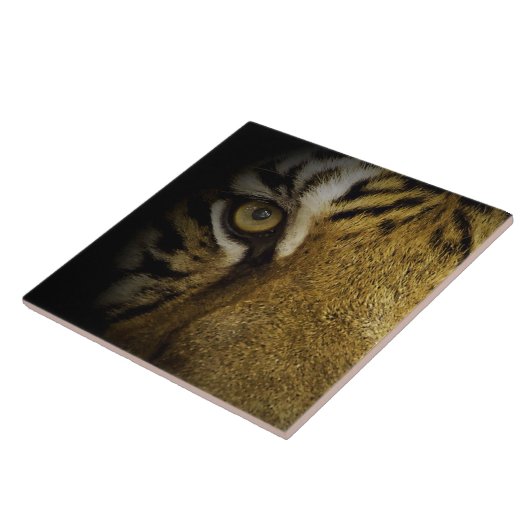Carreau Dans l'œil d'un tigre (Côté)