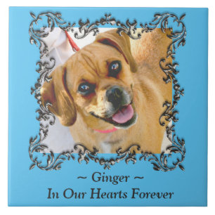 Carreau Dans Nos Coeurs Forever Pet Memorial Carrelage cér