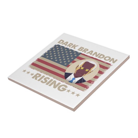 Carreau Dark Brandon Funny Joe Biden Meme (Côté)