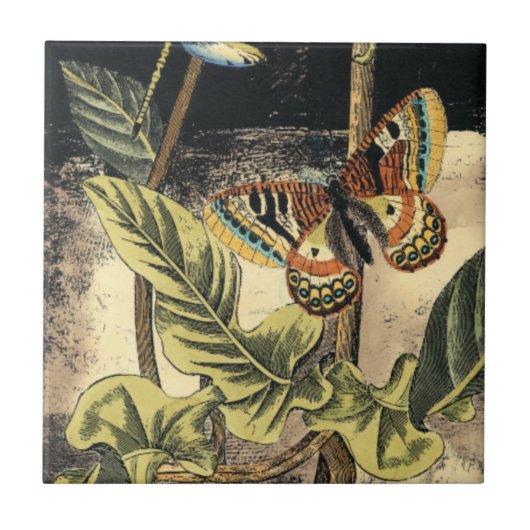 Carreau Dark Nature Scene par Vision Studio (Devant)