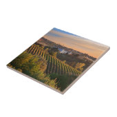 Carreau d'Asti de Costilgiole, Piémont, Italie (Côté)