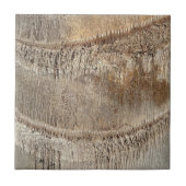 Carreau Date Palm Tree Trunk Texture Fermer Photo Image (Devant)