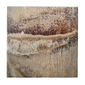Carreau Date Palm Tree Trunk Texture Fermer Photo Image (Devant)