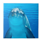 Carreau Dauphin (Devant)