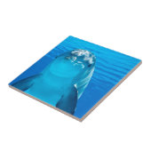 Carreau Dauphin (Côté)