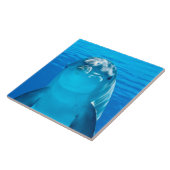 Carreau Dauphin (Côté)